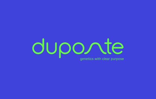 duponte.jpg